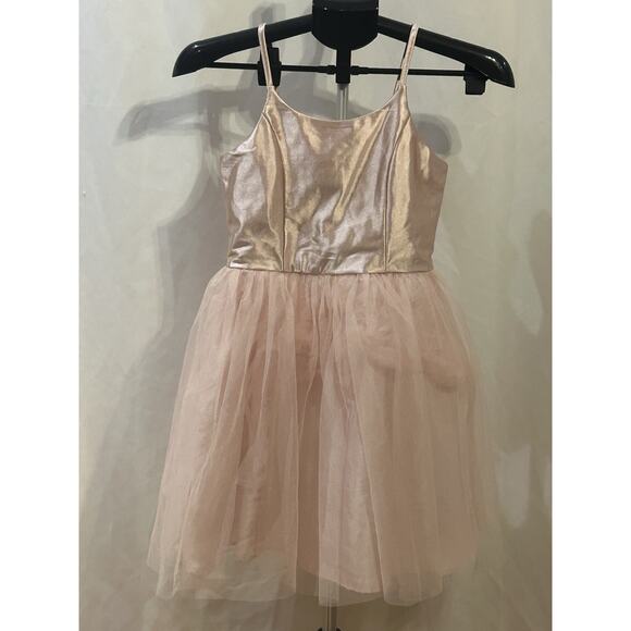 Wild Daisy Ballerina Pink Dress Girls size 10 - Picture 1 of 3